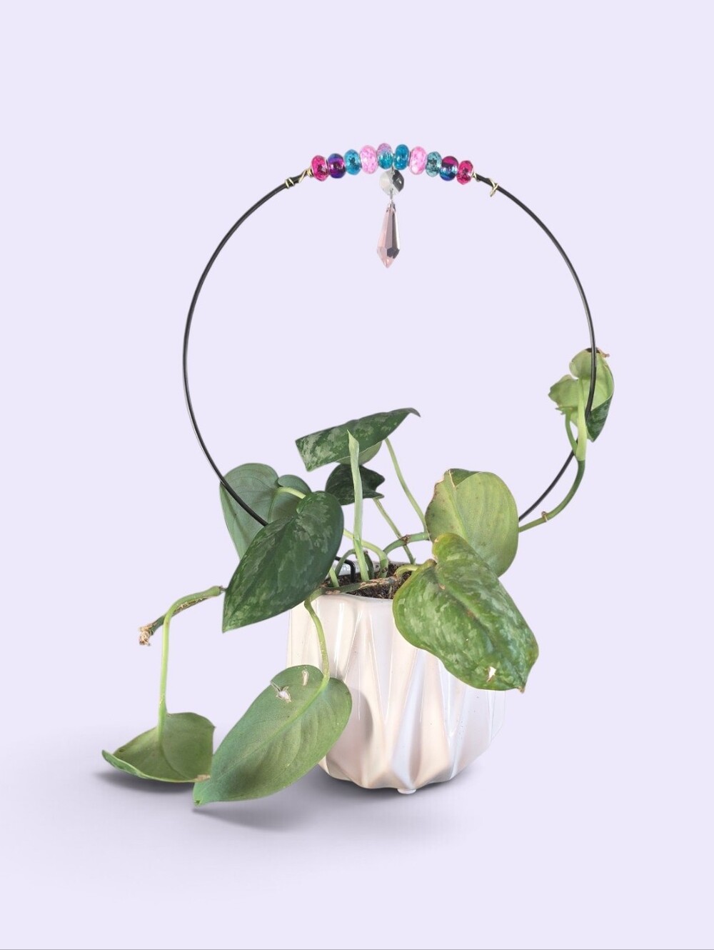 Handmade Plant Trellis.